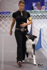 Obedience-1