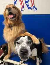 1_Daycare-3