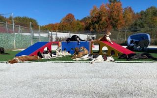 1_Daycare-5