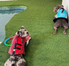 3_Pool-2