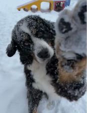 DC-snow-3