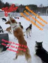 Daycare-1