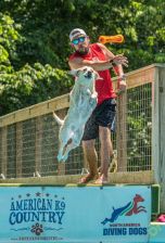 Dock-Diving-2