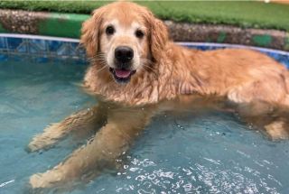 Pool-1