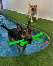 Pool-2