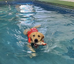 Pool-5