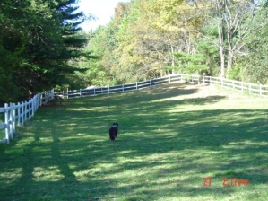 park2