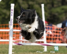 quickjump