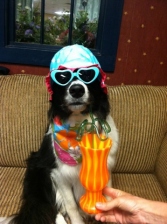 sparky-with-drink