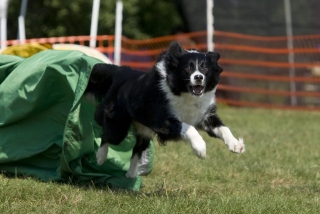 wkc-080921_p2p9021