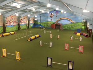 Facility Rentals - American K9 country